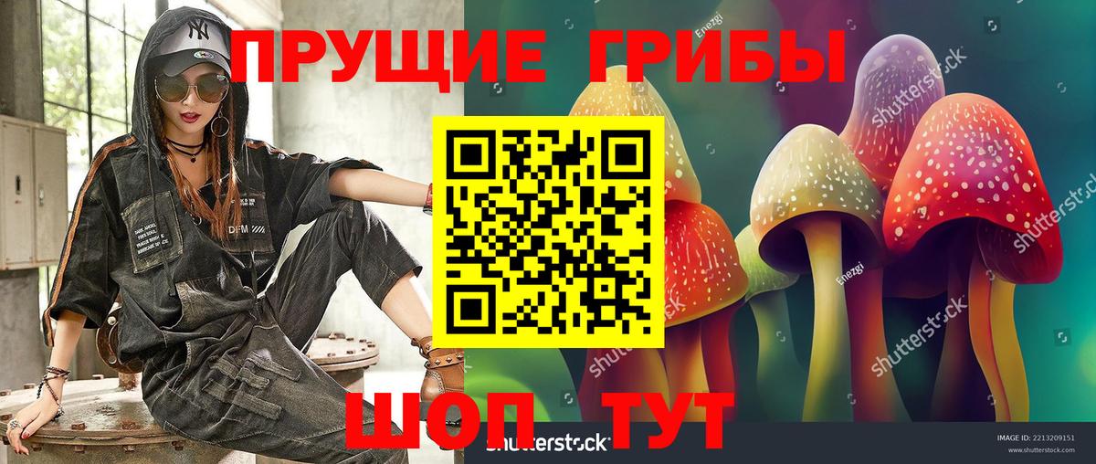 Галлюциногенные грибы Magic Shrooms  закладки  Вход с VPN  Касимов  Галлюциногенные грибы GOLDEN TEACHER 