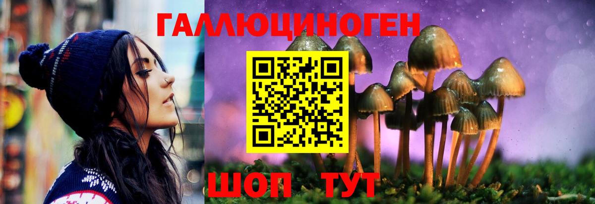 Галлюциногенные грибы Magic Shrooms Касимов